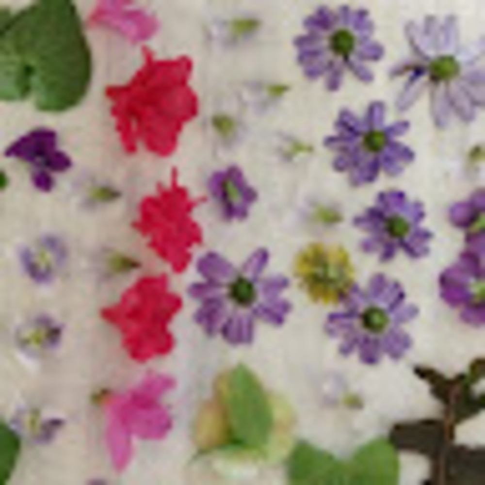 Meet your Posher, Nina rose